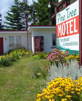 Pine Tree Motel Eganville Exterior photo